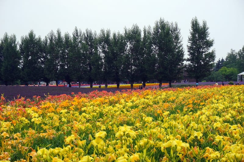 DSC04542.JPG DSC04542.JPG