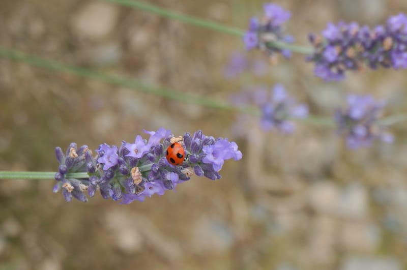 DSC04677.JPG DSC04677.JPG