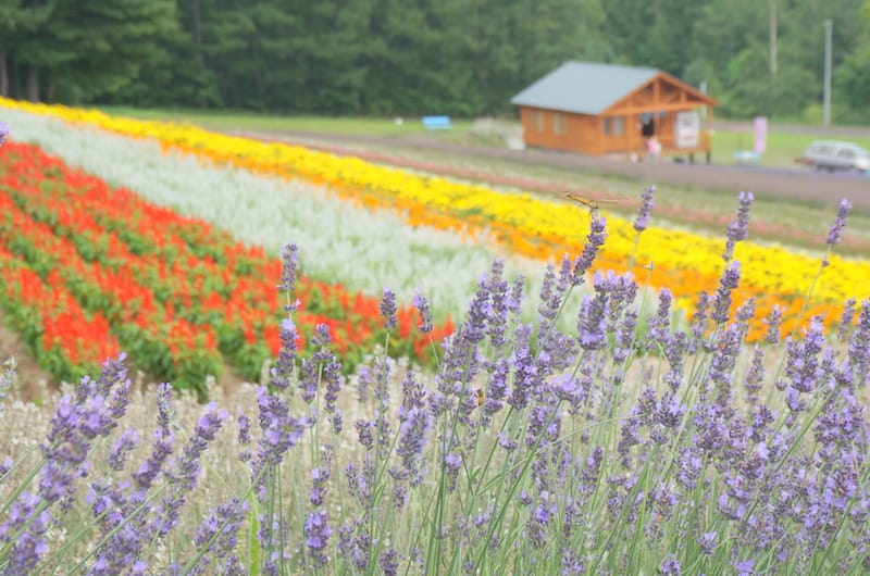 DSC04712.JPG DSC04712.JPG