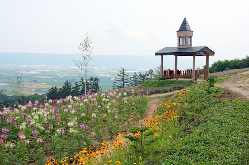 DSC04747.JPG DSC04747.JPG