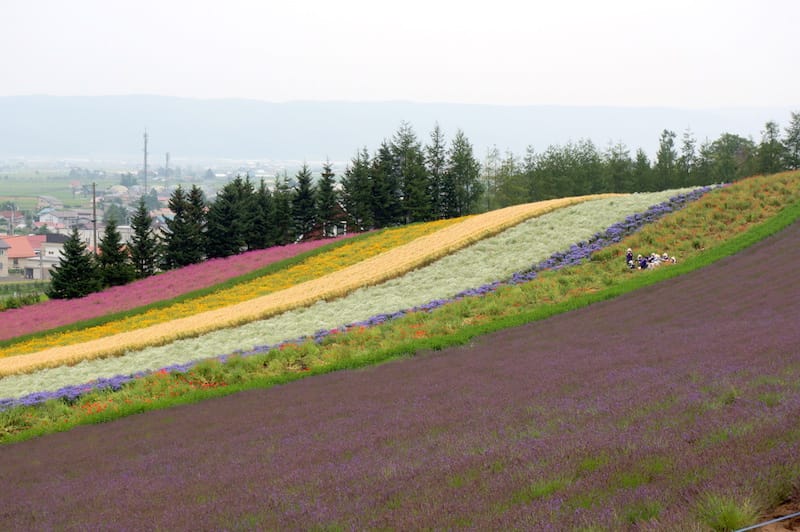 DSC04524.JPG DSC04524.JPG