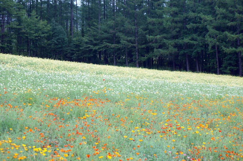 DSC04499.JPG DSC04499.JPG