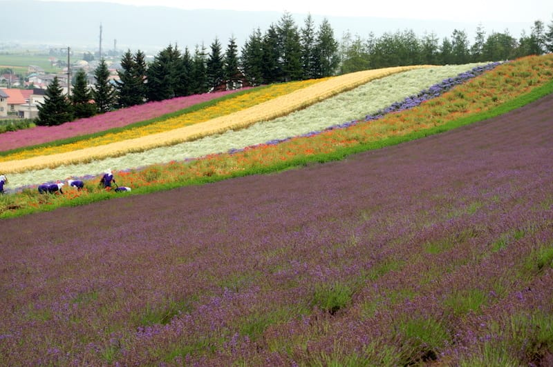 DSC04444.JPG DSC04444.JPG