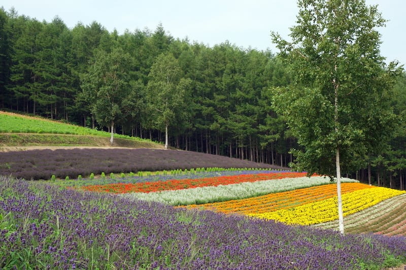 DSC04778.JPG DSC04778.JPG