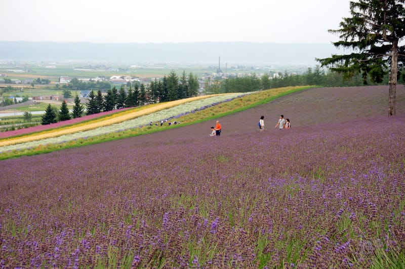 DSC04505.JPG DSC04505.JPG