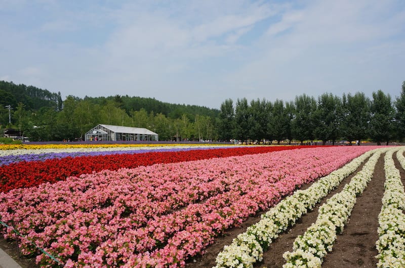 DSC04652.JPG DSC04652.JPG