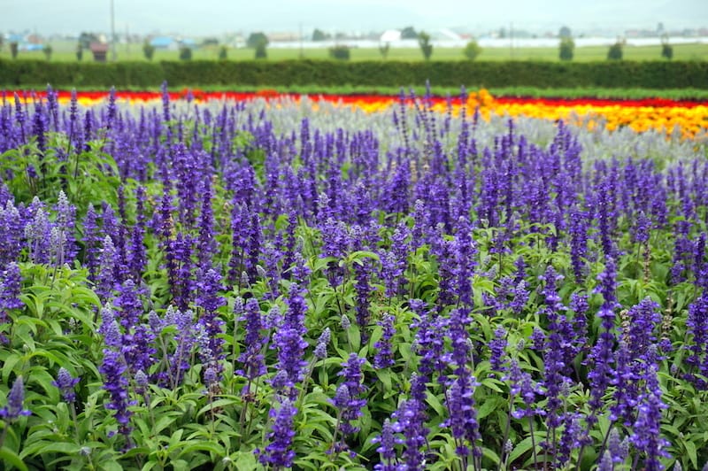 DSC04547.JPG DSC04547.JPG