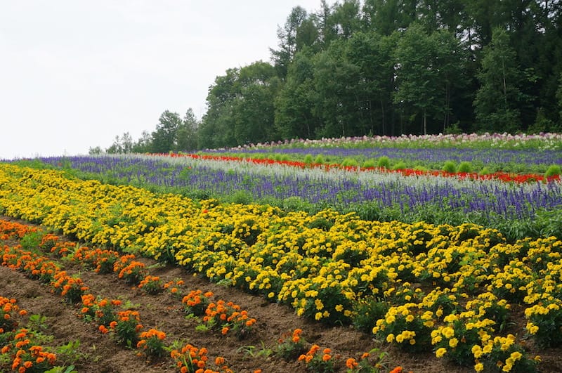 DSC04729.JPG DSC04729.JPG