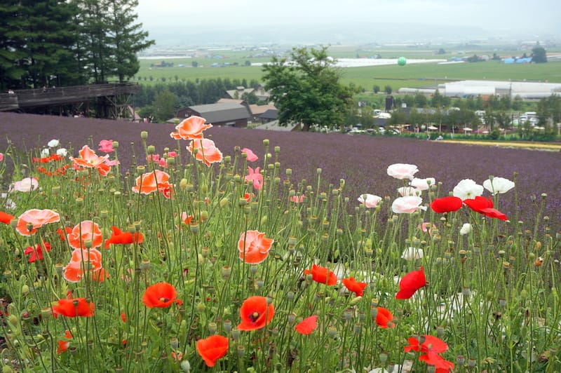 DSC04491.JPG DSC04491.JPG