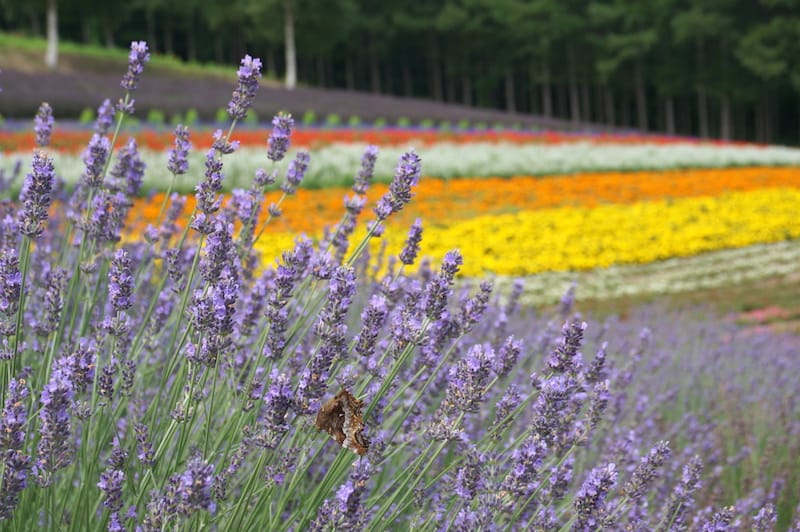 DSC04787.JPG DSC04787.JPG