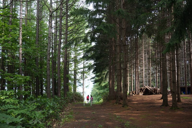 DSC04801.JPG DSC04801.JPG