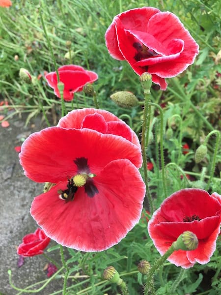 DSC04493.jpg DSC04493.jpg