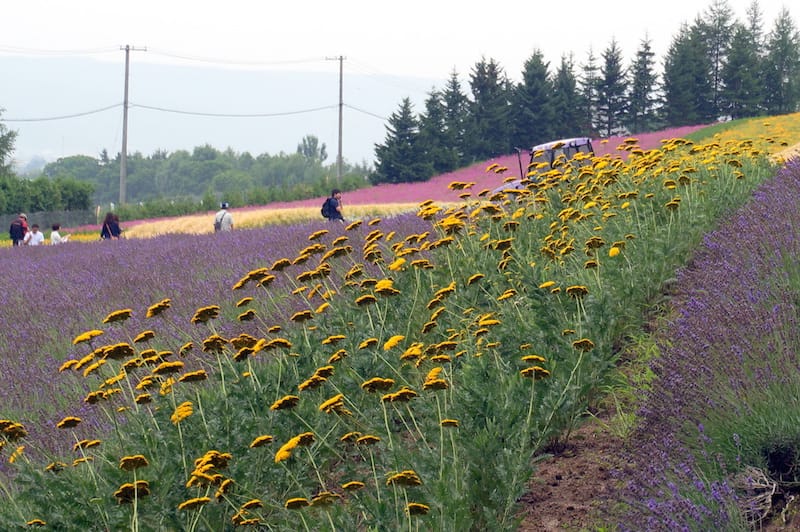 DSC04527.JPG DSC04527.JPG