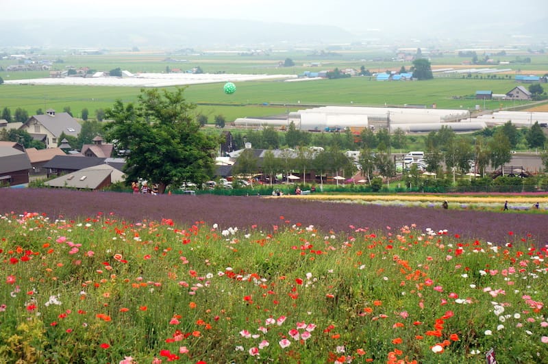 DSC04496.JPG DSC04496.JPG