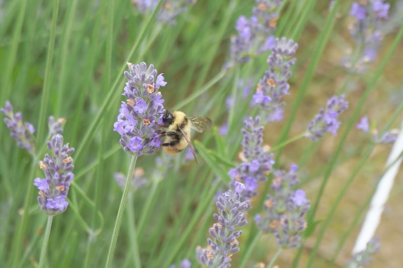 DSC04682.JPG DSC04682.JPG