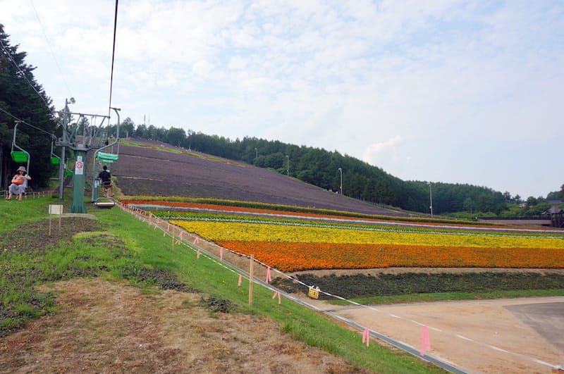 DSC04821.JPG DSC04821.JPG