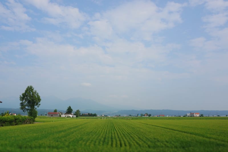 DSC04940.JPG DSC04940.JPG