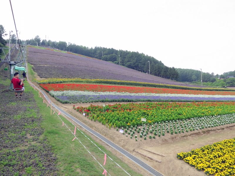 DSC04824.JPG DSC04824.JPG