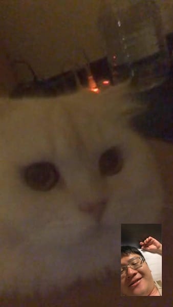 IMG_2530.jpg IMG_2530.jpg