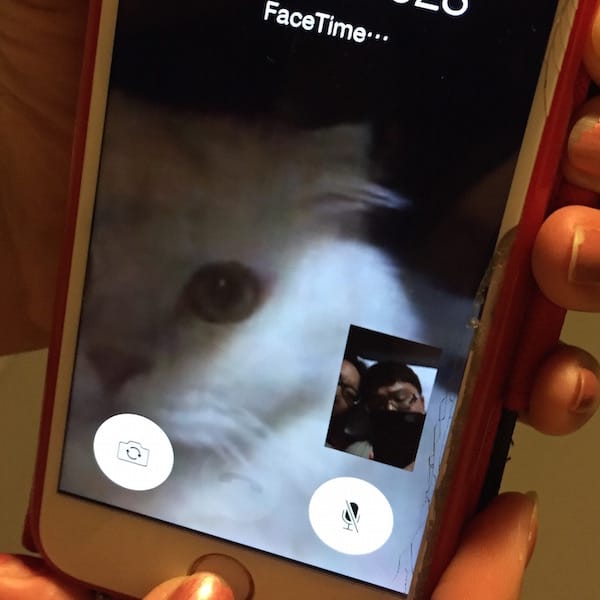 IMG_2524.jpg IMG_2524.jpg