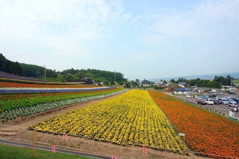 DSC04916.JPG DSC04916.JPG