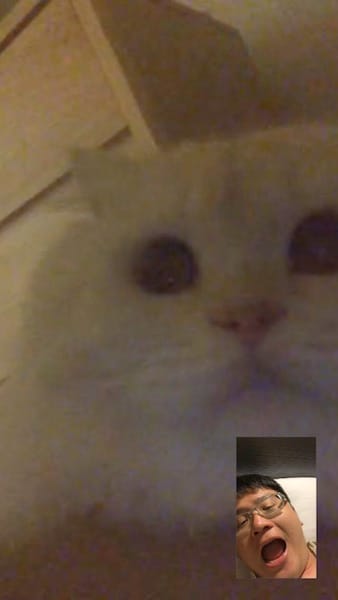 IMG_2531.jpg IMG_2531.jpg