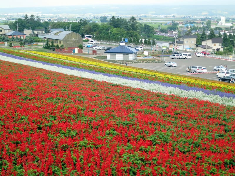 DSC04826.JPG DSC04826.JPG