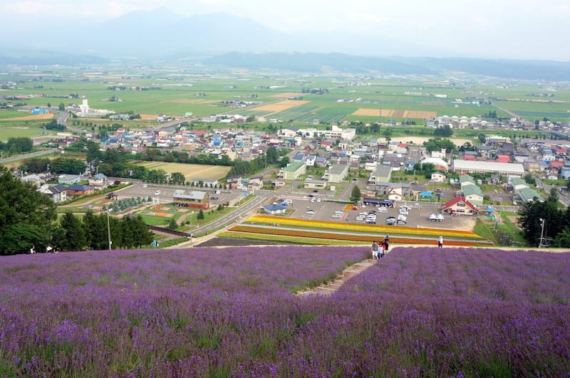 DSC04859.JPG DSC04859.JPG