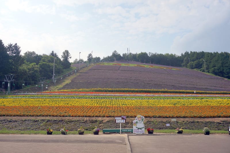 DSC04917.JPG DSC04917.JPG