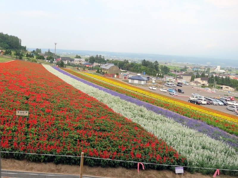 DSC04905.JPG DSC04905.JPG