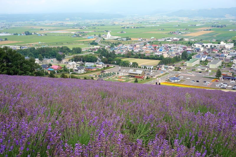 DSC04862.JPG DSC04862.JPG