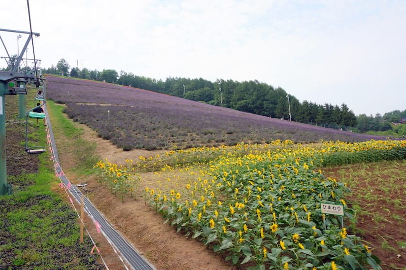 DSC04834.JPG DSC04834.JPG