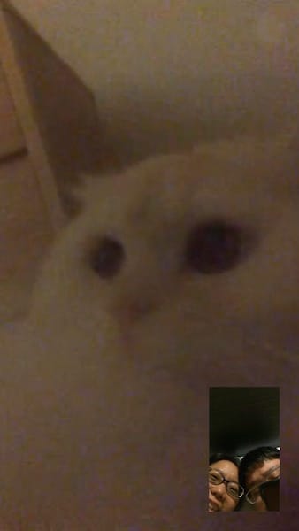 IMG_2533.jpg IMG_2533.jpg