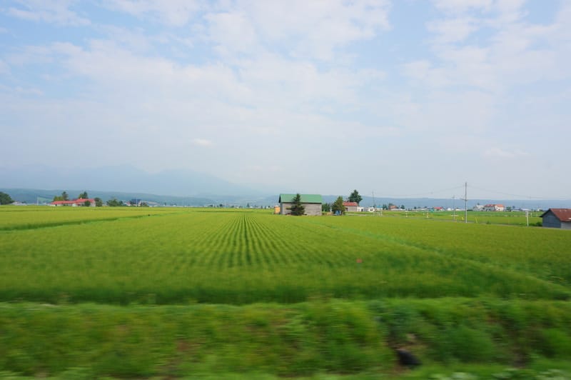 DSC04941.JPG DSC04941.JPG