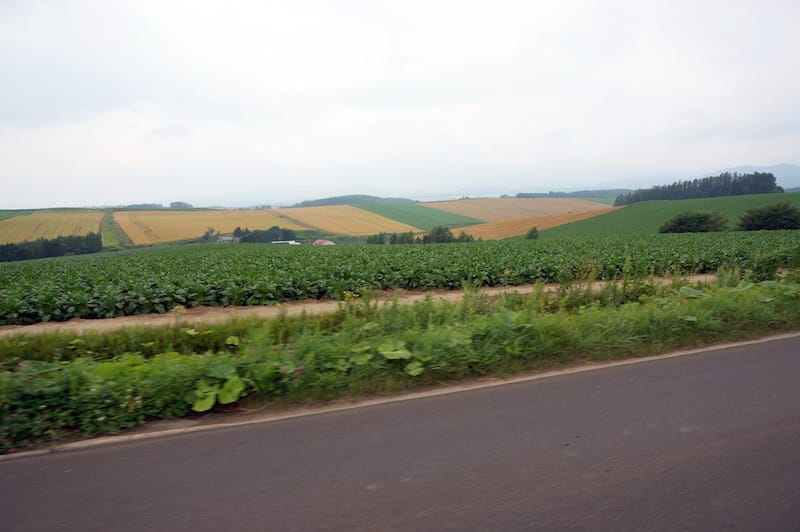 DSC05202.JPG DSC05202.JPG