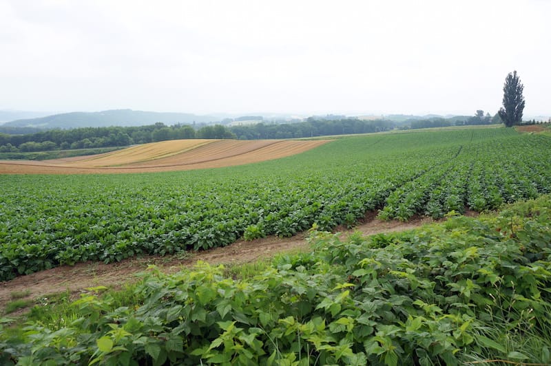 DSC05278.JPG DSC05278.JPG