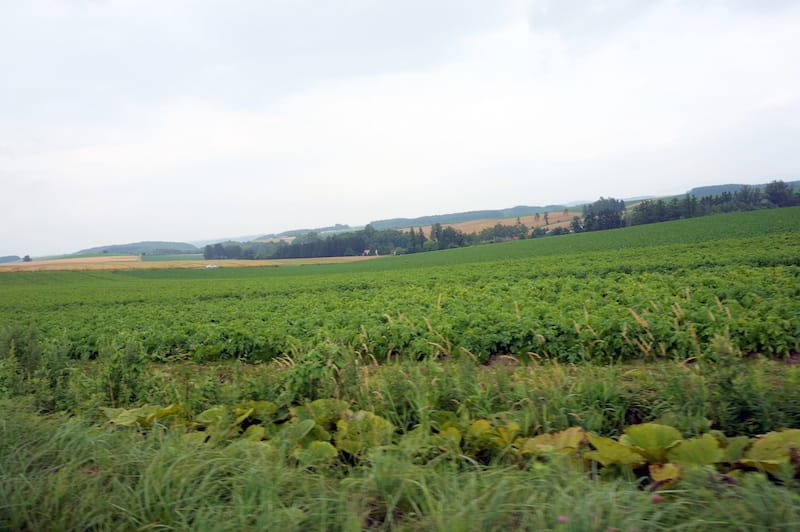 DSC05190.JPG DSC05190.JPG