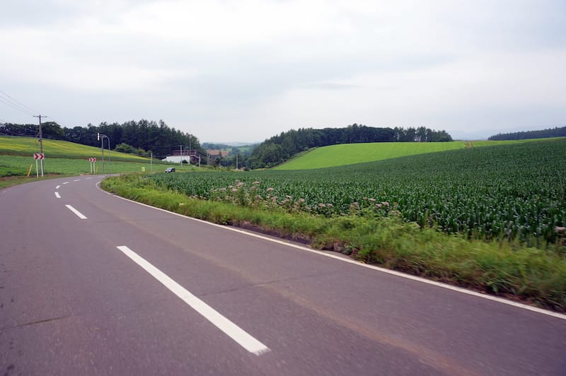 DSC05440.JPG DSC05440.JPG