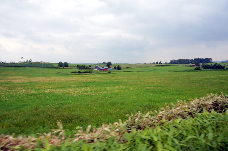 DSC05353.JPG DSC05353.JPG