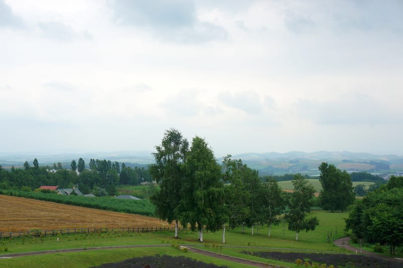 DSC05340.JPG DSC05340.JPG