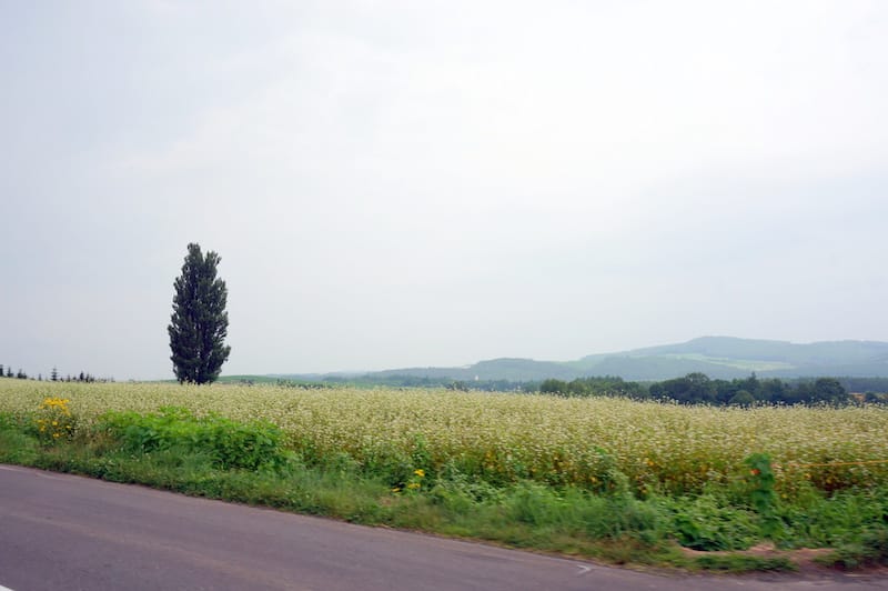 DSC05048.JPG DSC05048.JPG