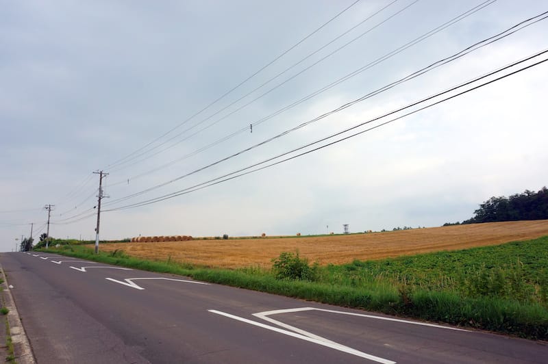 DSC05107.JPG DSC05107.JPG