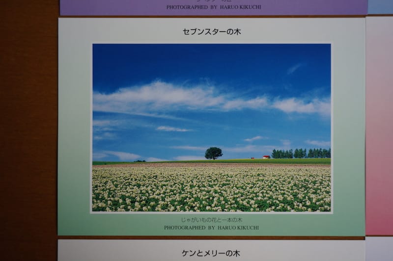 DSC06099.JPG DSC06099.JPG