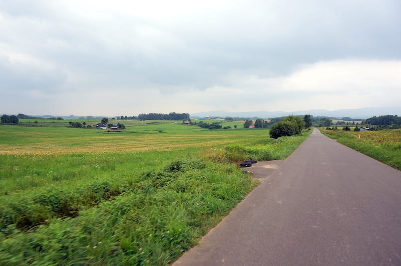 DSC05349.JPG DSC05349.JPG