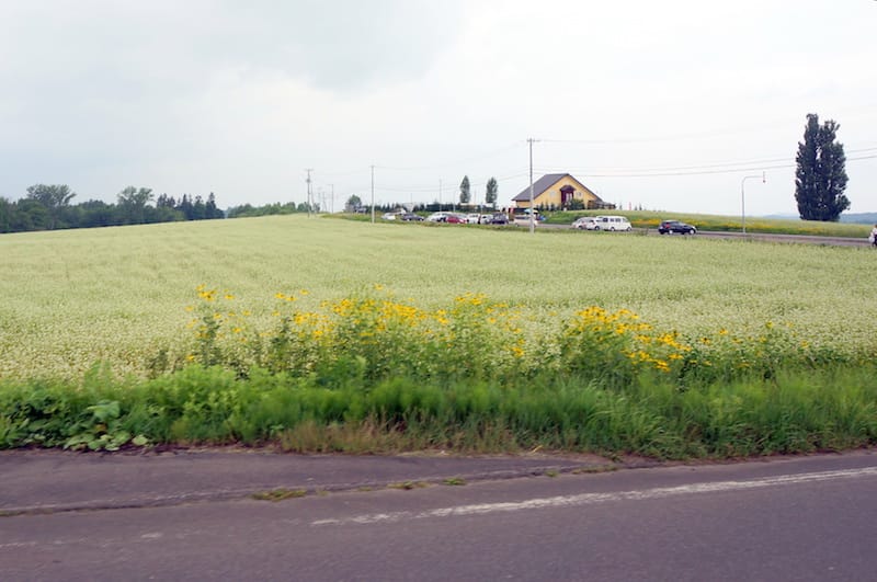 DSC05286.JPG DSC05286.JPG