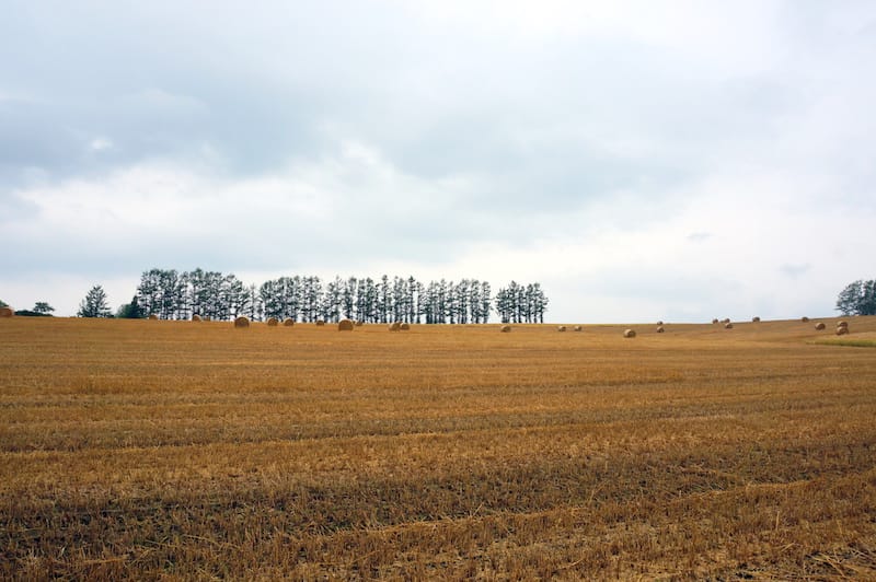 DSC05428.JPG DSC05428.JPG