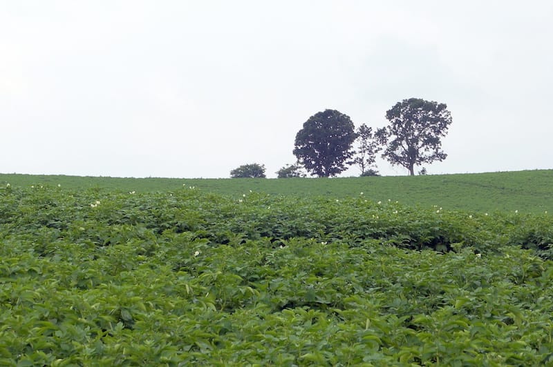 DSC05248.JPG DSC05248.JPG