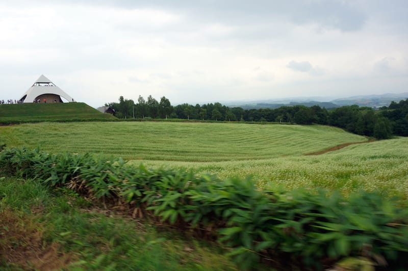 DSC05346.JPG DSC05346.JPG