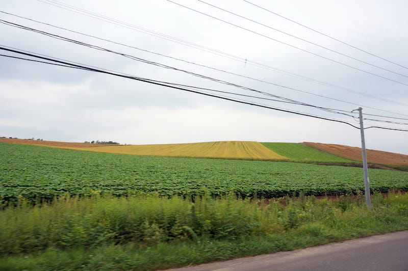 DSC05432.JPG DSC05432.JPG