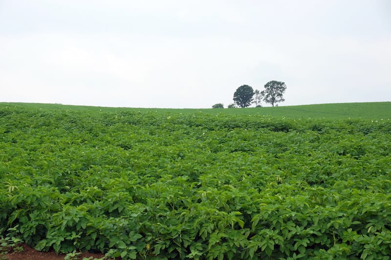 DSC05247.JPG DSC05247.JPG